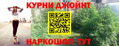сатива Тула