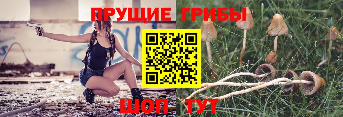 Галлюциногенные грибы MAGIC MUSHROOMS  Вход с VPN  наркотики  Ачинск  Галлюциногенные грибы Psilocybine cubensis 